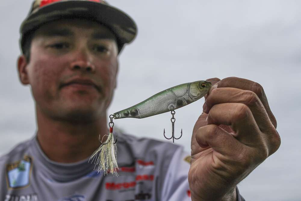 First off, Zaldain starts with the Megabass Giant Dog X in shad patterns. This is a trebled topwater walking bait.