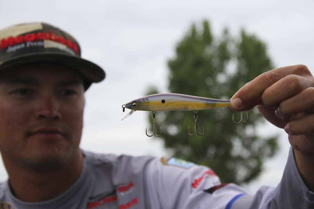 As mentioned before, Zaldain loves a jerk bait. This is the MegaBass Vision 110 jerk bait. He loves Sexy French Pearl on cloudy days.