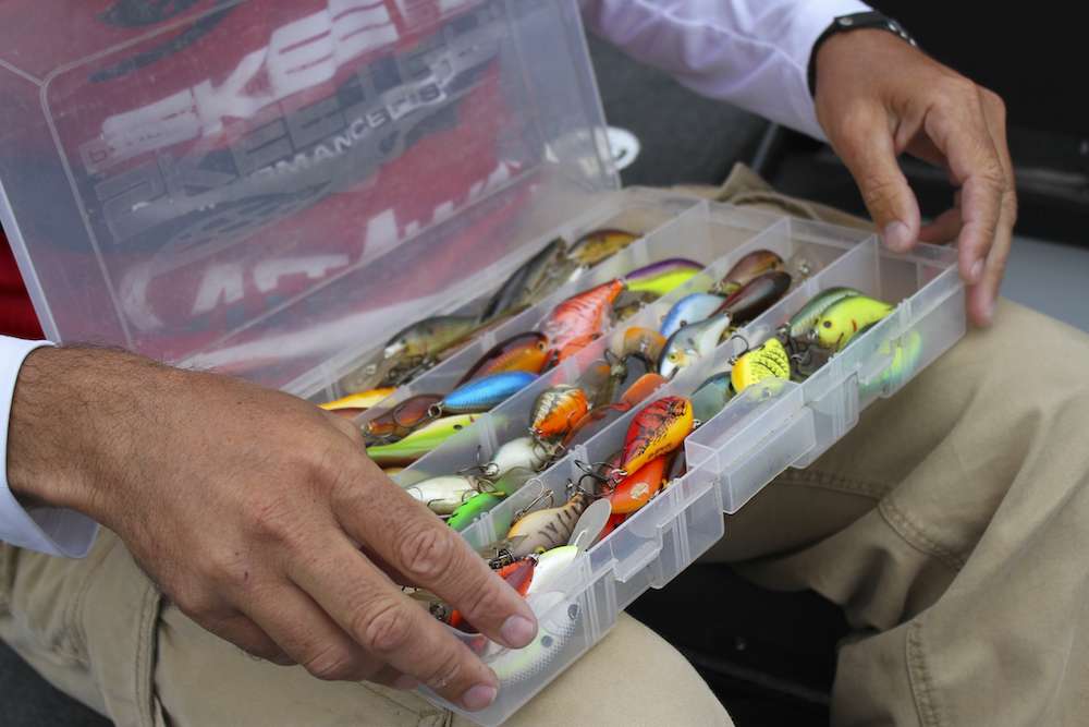 Robinson lives near lakes that feature blue back herring as a primary food source for bass, so his baits will cater to those colors.