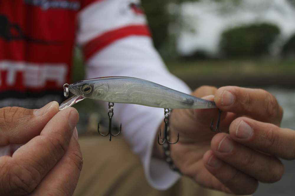 A Luck-E-Strike jerk bait is a staple for Robinson and, like Zaldain, he likes a Pro Blue color for his jerk bait.
