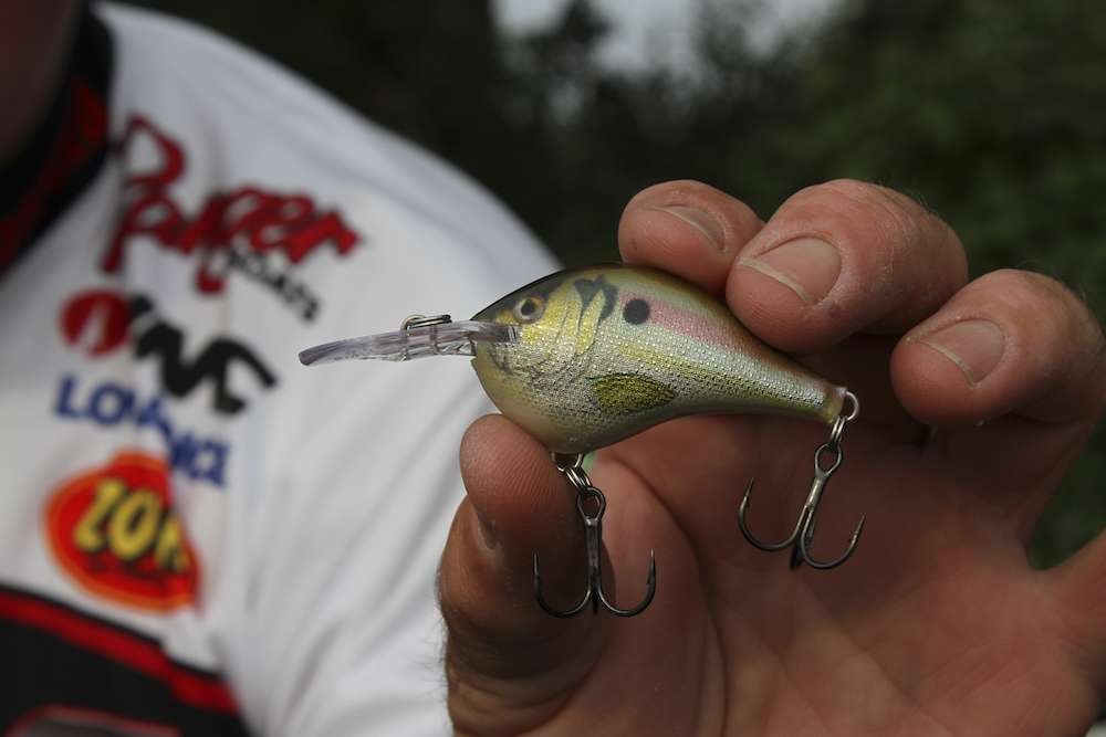 A crank bait that Tharp will go to during the fall is the Rapala DT6. The new River Shiner color is what Tharp prefers.