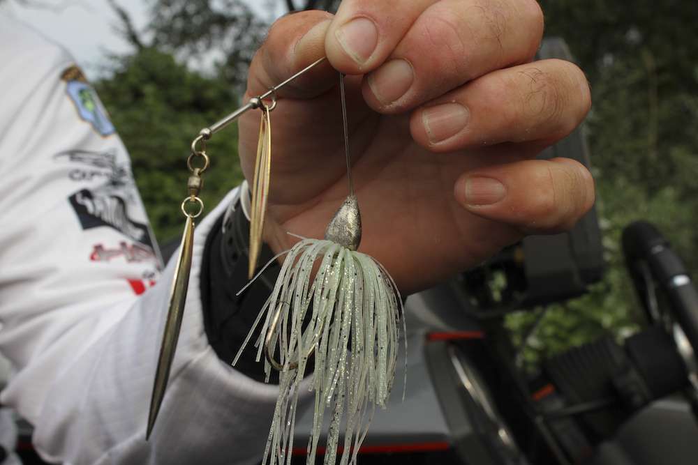 His go-to is the War Eagle Spinnerbait. He prefers the 1/2 ounce version, but he says you can't go wrong with any size from 1/4 ounce to 3/4 ounce.