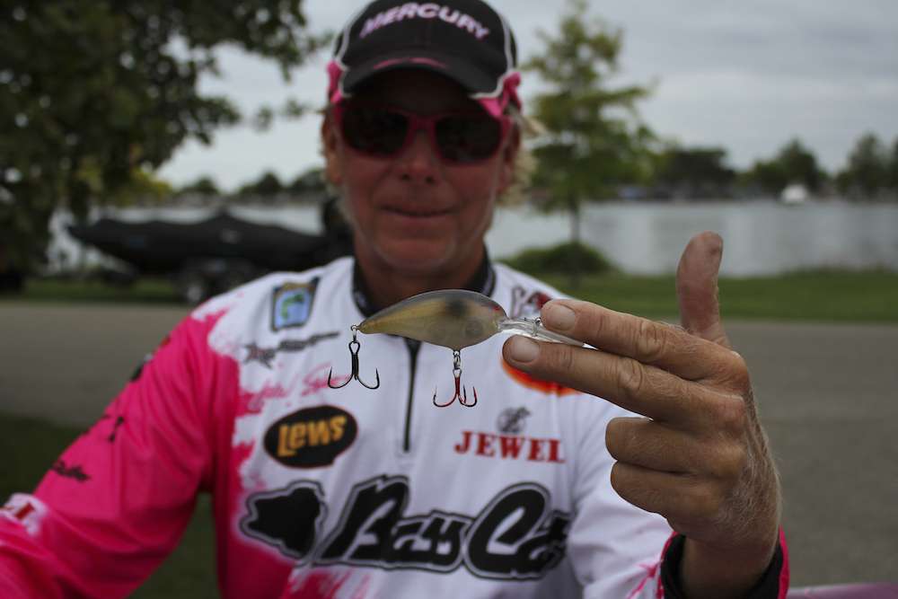 Short uses a Norman Deep Little N for those bass that haven't gotten as shallow during the fall season.