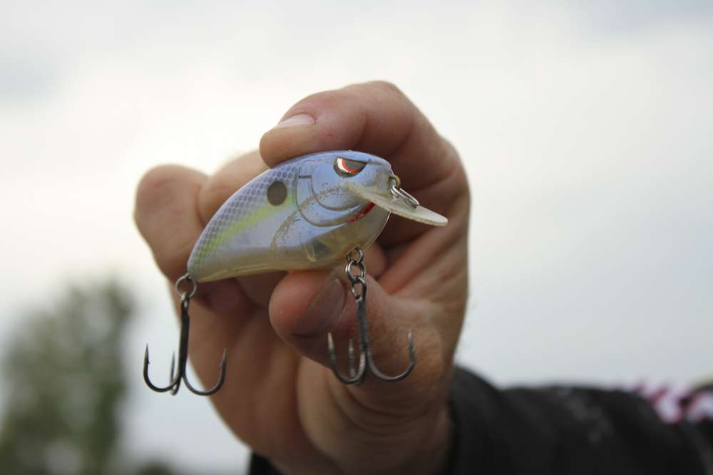 His next bait is the Spro Fat John 60 in Spook Nasty color.