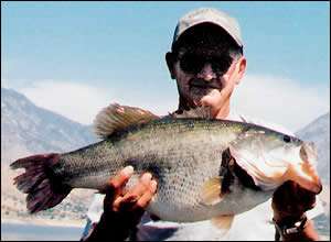 	<strong>Leo Abler</strong>
<p>
	13 pounds, 11 ounces<br />
	7/7/2004; 10:20 a.m.<br />
	Lake Isabella, CA<br />
	<b>Lure</b>: Three-eighths-ounce Norman Little N (shad)<br />
	<b>Depth</b>: 18 feet, rockpile</p>
