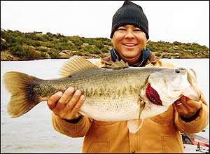 
	<strong>Daniel Shurtleff</strong>
<p>
	11 pounds, 10 ounces<br />
	11/28/2004; 1:00 p.m.<br />
	Lake Alan Henry, TX<br />
	<b>Lure</b>: Norman Deep Diving Little 'N' (orange back/ yellow belly)<br />
	<b>Depth</b>: 15 feet, point in a main lake channel</p>
