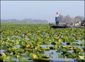 Lake Toho is known for its heavy vegetation and thick mats like these are expected to play a big role in the outcome of the CITGO Bassmaster Classic.
