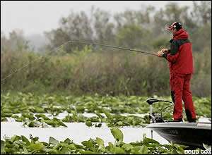 VanDam tosses a bait into a mat of foliage on Day 3.