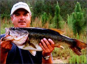 
	<strong>Randy Guerry</strong>
<p>
	10 pounds, 1 ounce<br />
	7/6/2005; 6:28 a.m.<br />
	Dockeryâs Pond, NC<br />
	<b>Lure</b>: 5-inch Super Fluke (baby bass)<br />
	<b>Depth</b>: 4 feet, hydrilla</p>
