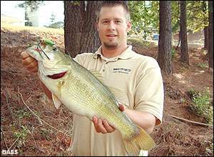 
	<strong>Michael D. Murphy</strong>
<p>
	10 pounds, 2 ounces<br />
	10/12/2005; 4:15 p.m.<br />
	Private pond, Ga.<br />
	<b>Lure</b>: SPRO (natural green)<br />
	<b>Depth</b>: surface, open water</p>
