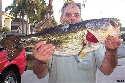 <p>
	<strong>Paul Manobianco</strong></p>
<p>
	14 pounds, 6 ounces<br />
	11/25/2005; 7:00 a.m.<br />
	Pebblecreek, Fla.<br />
	<b>Lure</b>: Fishbelly Helix buzzbait (#17 sunfish)<br />
	<b>Depth</b>: 7 feet, spruce tree in pond cove</p>
