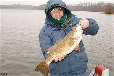 <p>
	<strong>Todd Ewing</strong></p>
<p>
	6 pounds, 2 ounces<br />
	Marsh Creek Reservoir, Pa.<br />
	<b>Lure</b>: 1-ounce custom jerkbait (yellow perch pattern)</p>
