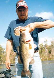 <p>
	<strong>Robin W. Collins</strong></p>
<p>
	10-2</p>
<p>
	Harris Chain of Lakes, Fla.<br />
	1/2-ounce Horizon spinner-<br />
	bait (chartreuse/white)</p>
