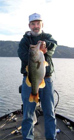<strong>Pete Cartens</strong>
<p>
	12 pounds, 4 ounces<br />
	Clear Lake, Calif.<br />
	<b>Lure:</b> 4-inch Storm Swim Shad (shad)</p>
