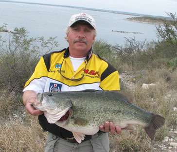 <strong>Larry Triplett</strong>
<p>
	11 pounds,6 ounces<br />
	Lake Amistad, Texas<br />
	<b>Lure:</b> 3/4-ounce Oldham jig with Brush Hog trailer</p>
