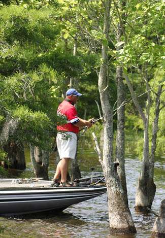 Second place finisher Matt Herren spent his tournament fishing many of the lake's flooded cypress trees.