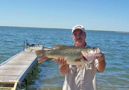 <strong>Larry Scharbough</strong>
<p>
	13 pounds, 5 ounces<br />
	Choke Canyon Reservoir, Texas<br />
	Lure: 10 1/2-inch Zoom Monster Worm</p>
