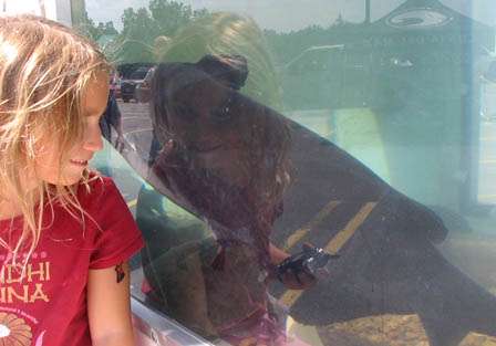 This little girl reflects on the huge catfish that swims in the Mobile Aquarium.