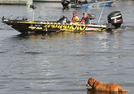 Ken Cook's golden retriever took a dip in the cool waters of Lake Erie during the Day One launch.