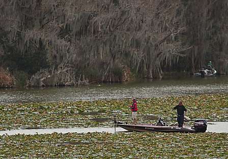Competitors work soft plastics very methodically in and around a large cove filled with lilly pads.
