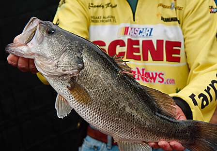 There were two bass caught on Day One of the Bassmaster Southern Open which had a University of Florida study 