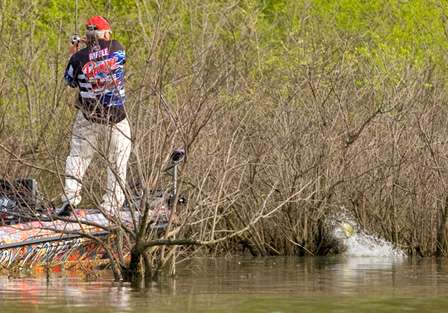 Biffle, using heavy line and a flipping stick, rips another fish from the flooded brush.