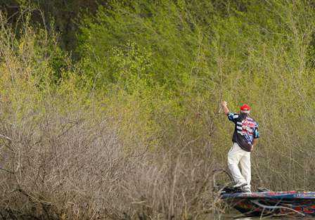 Biffle was flipping an area with flooded willow trees and brush.