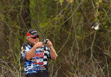 Another bass comes flying across the boat as Biffle sets the hook hard to extract bass from heavy cover.