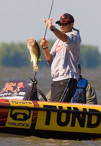 Iaconelli reaches to get a grip on another quality Kentucky Lake largemouth.