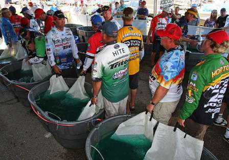 Anglers gather around the holding tanks before the Day Three weigh-in.