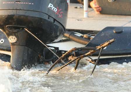 A branch lodges against the motor of an Elite Series angler's boat towards the end of the Day Two launch causing a brief delay as the debris was cleared.