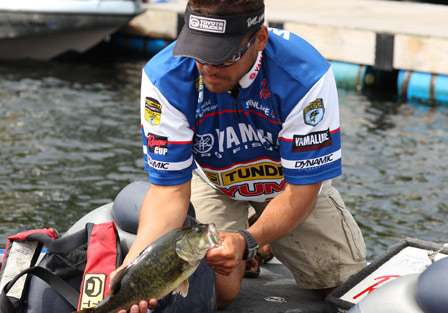 Elite pro Dave Wolak places one of his largemouth into the transport bag before heading to the stage for an official weight.