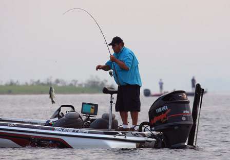 Hallaman's co-angler Joe Brozak is the next to haul in a fish that would be shy of the 14-inch minimum-length limit.