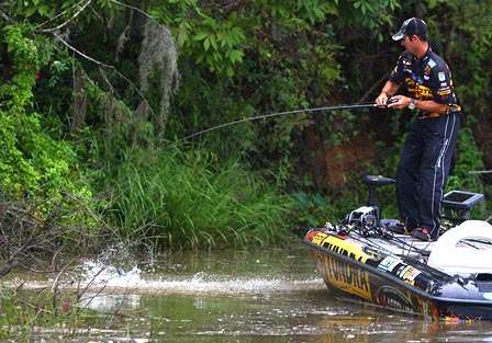 Iaconelli pulls one out of some shallow backwater.