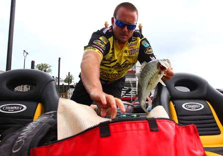 Toyota Tundra Bassmaster Angler of the Year leader Skeet Reese reaches out to put a fat spotted bass into his weigh-in bag.