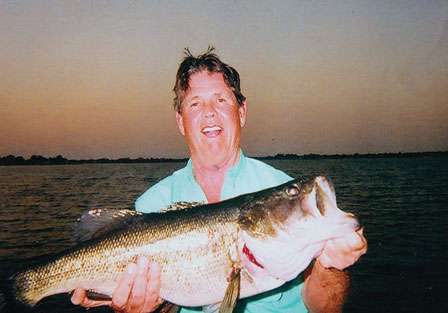 <strong>Larry Priebe</strong>
<p>
	11 pounds 4 ounces<br />
	Lake Jackson, Fla.<br />
	3-inch Rapala Shad Rap (silver)</p>

