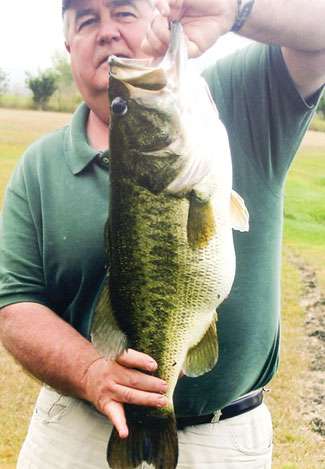<strong>Bill Taylor</strong>
<p>
	11 pounds, 8 ounces<br />
	Lake Espanola, Mexico<br />
	<b>Lure:</b> 6-inch Chompers Lizard</p>
