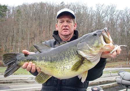 <strong>Johnny D. Appling</strong>
<p>
	14 pounds, 6 ounces<br />
	Lake Seed, Ga.<br />
	<b>Lure:</b> Sworming Hornet Fish Head Spin (white)</p>
