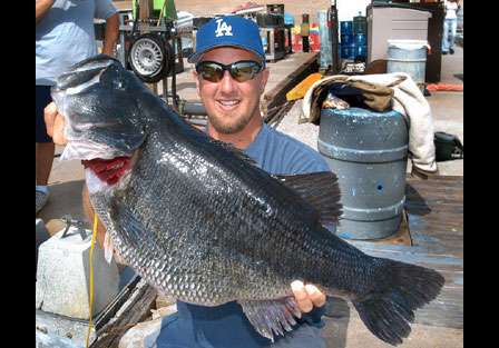 Jed Dickerson became the second angler to catch Dottie when she weighed better than 20 pounds in May 2003. At this time, Dottie weighed 21-11, just 9 ounces off the world record.
