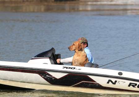 What? Dogs love fishing too!