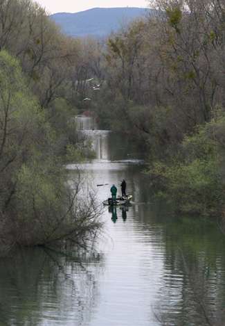 Bass were moving into long canals, like this one Skeet Reese was fishing.