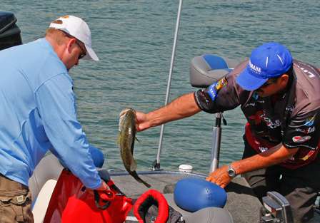 Jared Lintner sacks his fish at the end of Day Two. 