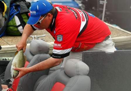 Cliff Pace grabs a chunky smallmouth and slips it into his weigh-in bag on Day Four of the Alabama Charge.