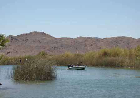 BASS Federation Western Divisional - Martinez Lake, Az.<br />Anglers fished in 100-degree temperatures on Day Two, returning at 1:30 p.m. to weigh their fish and get out of the heat.