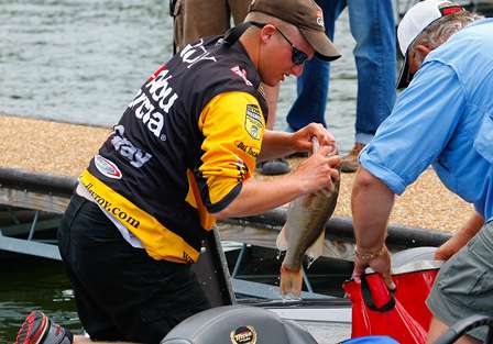 Bradley Roy pulls out a big Kentucky Lake largemouth as he transfers his fish to a weigh-in bag on Day Two.