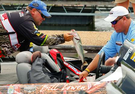 Bill Lowen moves this nice keeper from his livewell to his weigh-in bag as his Marshal lends a hand.