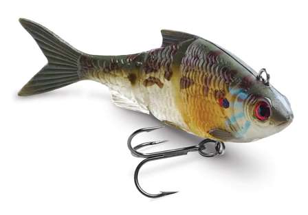 <b>Storm Live Kickin' Shad</b><br>Storm has bought into the lifelike trend with its Live Kickin' Shad. This swimbait has a jointed body and is made to swim as well as the critter it's mimicking.