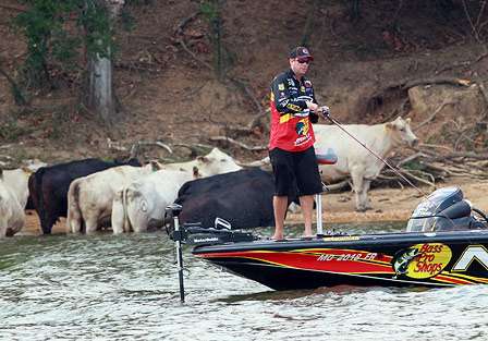 With a herd of cows in the background, Kevin VanDam cranks an underwater point on the Alabama River.