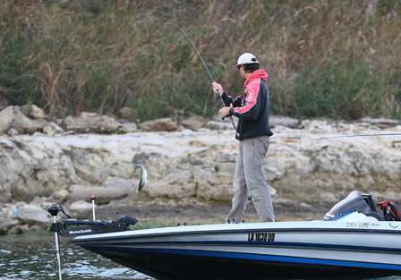 Once again, this bass has stripes. Lake Texoma is full of stripers.