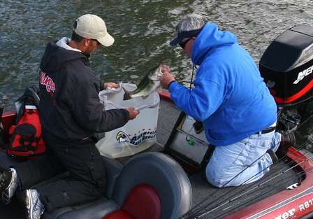  A non-boater pulls out one of his bass and places it in his weigh-in bag on Day Three.